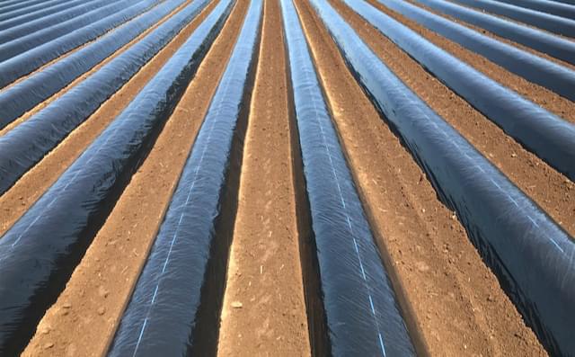 エコカルマルチ®